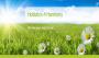 Holistics 4 Harmony